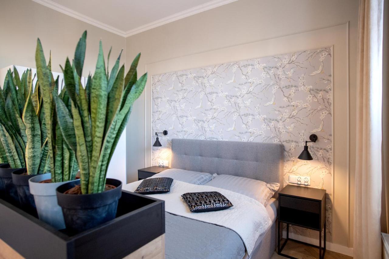 Apartament Rynek 12 קושצ'יז'נה מראה חיצוני תמונה